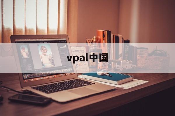 vpal中国(vice 中国)